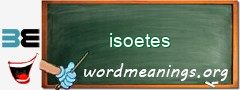 WordMeaning blackboard for isoetes